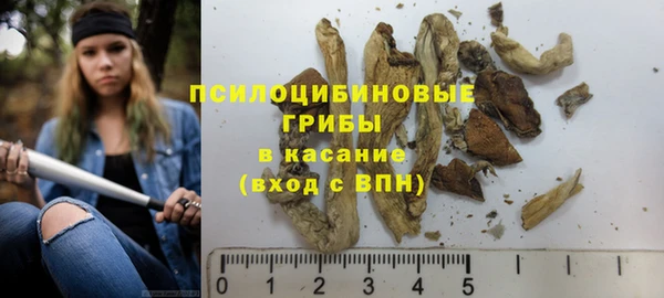 крисы Алзамай