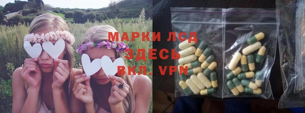 крисы Алзамай